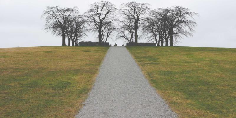 IT教程与资源分享：深度解析低轨卫星互联网与地面5G网络的融合组网前景