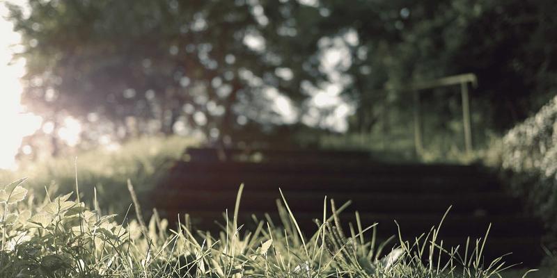 从NFV到CNF：编程开发视角下的网络功能演进与部署实战