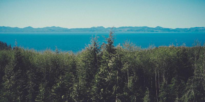 从理论到实践：基于意图的网络（IBN）在数据中心自动化运维中的落地案例与IT教程