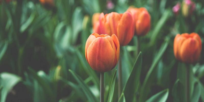 工业互联网的“时间守护者”：深度解析TSN如何保障实时性 | 技术博客与学习资源分享