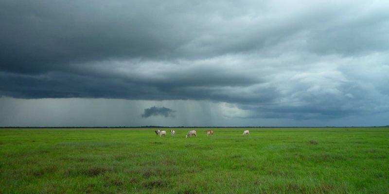 技术博客精选：三大主流编程开发技术栈深度对比与实战指南