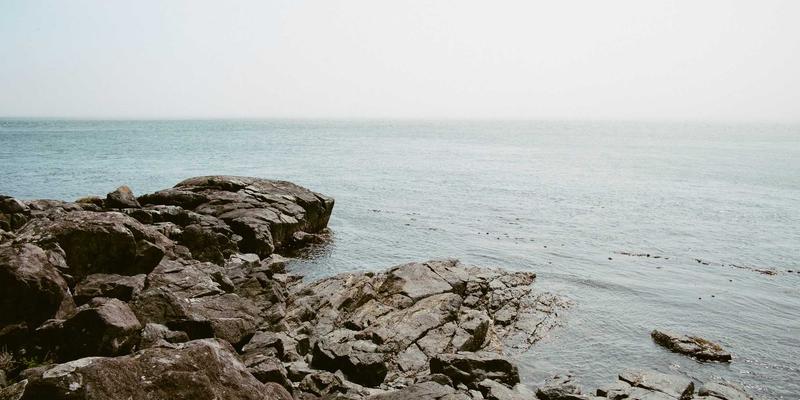 编程开发进阶指南：如何通过技术博客与优质学习资源构建知识体系