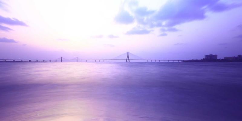 网络技术23:资源分享与IT教程如何重塑技术学习生态