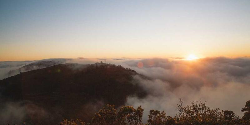 网络技术24：资源分享、编程开发与IT教程的深度整合指南