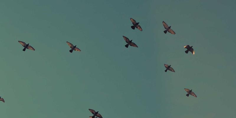 网络技术27：从基础架构到前沿趋势的技术全景解析