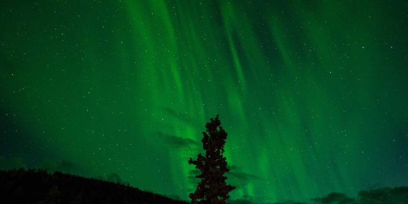 网络技术50：技术博客、IT教程与资源分享的融合之道