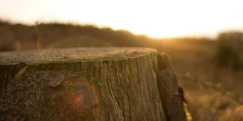 网络技术81：从IT教程到资源分享，构建你的数字技能图谱