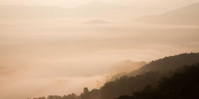网络技术进阶：基于AI的无线网络智能优化，揭秘频谱分配与负载均衡算法