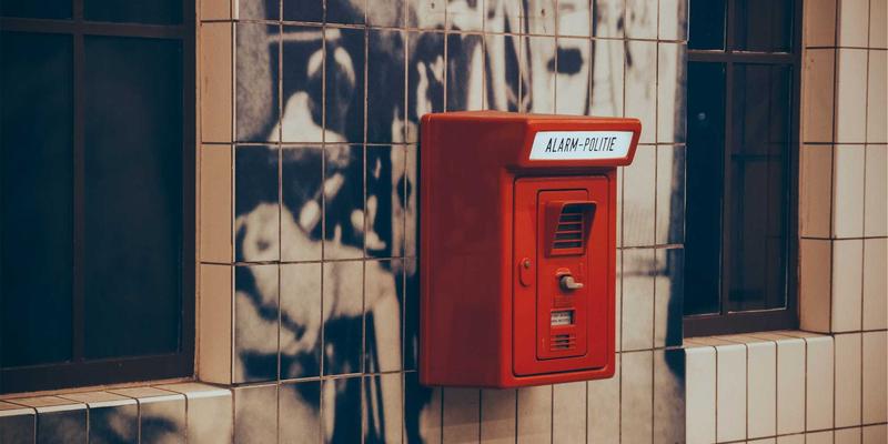 网络技术进阶指南：从资源分享到编程开发的高效路径